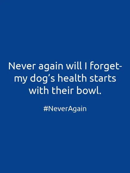 It's the most fundamental truth of pet health. Never again will we forget that our dog's health starts with what's in their bowl.