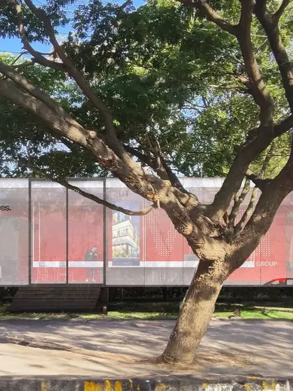 The real estate experience center in its urban context. The simple, floating box is a quiet yet powerful statement, a piece of minimalist architecture that captures attention through its restraint.