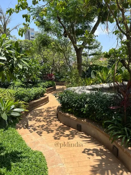 A winding pathway in a South Mumbai garden, bordered by curved, raised planters filled with dense greenery. The dappled sunlight filtering through the trees creates a constantly changing pattern of light and shadow on the path.