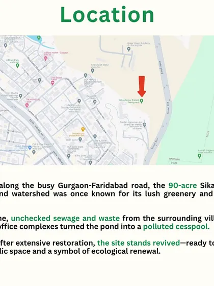 Located along the busy Gurgaon-Faridabad road, the 90-acre Sikanderpur forest was once a polluted, forgotten area. This map shows its location and the story of its revival.