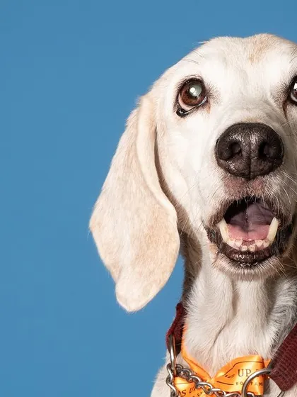 A look of pure surprise! Seenu's expressive face is perfectly captured in this fun studio shot.