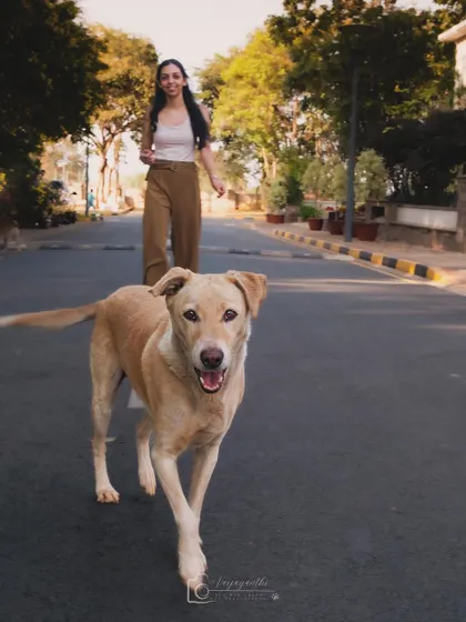 Boop the indie dog, coming in hot! A great action shot of a happy dog enjoying a walk.
