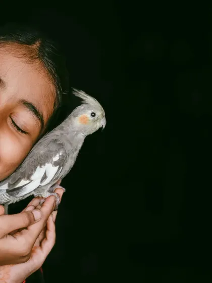 A beautiful, dark, and moody shot emphasizing the quiet bond and trust between a child and her pet.
