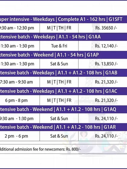 This table shows the various batch options for our beginner level courses, including Super Intensive, Extensive, and Intensive formats for both weekday and weekend schedules.