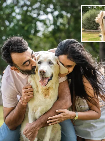 "You've given us something truly special." A testimonial from Ice's family, paired with a photo of them showering her with love. Capturing these final, precious moments is an honor and a privilege.