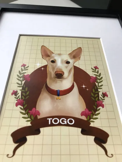 Here is the digital portrait of Togo, framed and ready to go to its new home. The black frame provides a nice contrast to the warm colors in the illustration.
