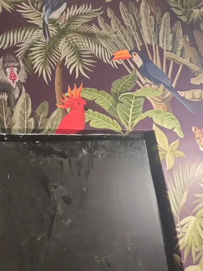 Another close-up of the jungle wallpaper.