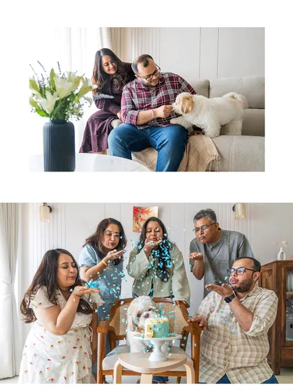 A collage from Kyro the Shih Tzu's birthday shoot, featuring a wonderful review from his mom. I love that after years of following my work, we finally got to create these memories together.