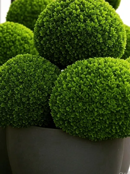 A collection of artificial topiary balls. For clients seeking a zero-maintenance option, we offer realistic artificial plants that provide a consistent, manicured look year-round.