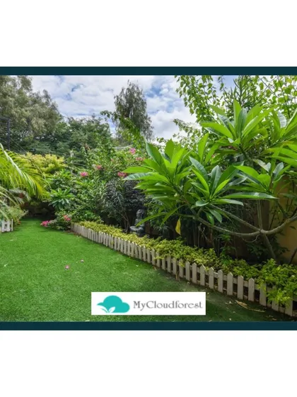 A simple white picket fence provides a charming border for this lush lawn and garden bed. The contrast between the neat fence and the dense, tropical foliage creates a lovely, well-defined look.