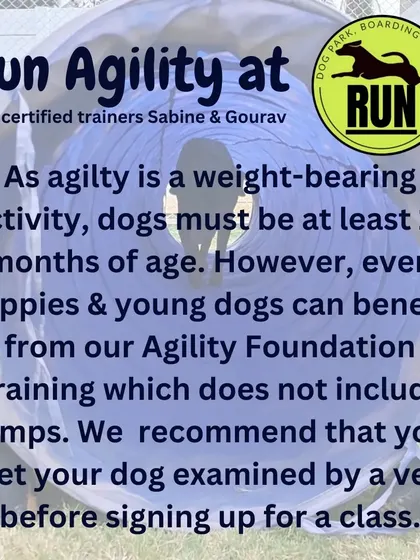 Safety first. Agility is a weight-bearing activity, so dogs must be at least 12 months old for the full course. For puppies, we offer a special Agility Foundation training that avoids jumps to protect their growing joints.