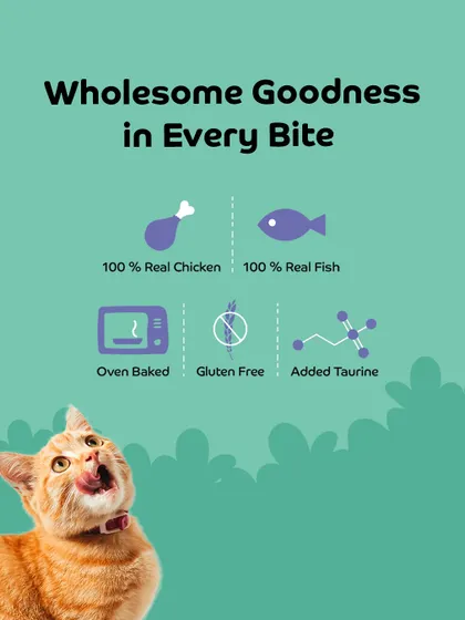 Wholesome goodness in every bite. Our Applod cat treats are made with 100% real chicken and fish, are gluten-free, and contain added taurine for heart health.