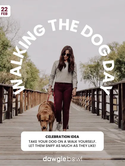 Happy Walking The Dog Day! Remember that walks are for more than just potty breaks. They are a time for sniffing, training, and spending quality time together.
