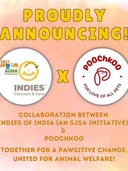 We've teamed up with Sare Jahan Se Acha to expand our rescue efforts in Pune. Our dedicated van service ensures injured community animals get the urgent transport and care they need.