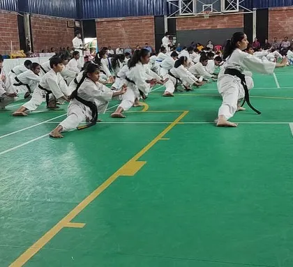 A side view of the stretching line, showing the commitment of every student to perfecting their form.