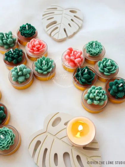 My 'Desert Bloom' succulent tealights look so cute scattered around. They bring a fresh, botanical glow to your home without the need for a green thumb.
