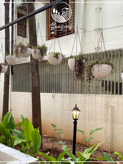 The transformation beginning at Roy's Cafe. Here, we've installed hanging planters and started planting in the ground beds, laying the foundation for a beautiful and enchanting garden space.