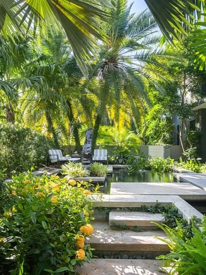 A view through lush foliage towards the main pond and seating area. We design our gardens to have layers, providing filtered views and a sense of being enveloped by nature.