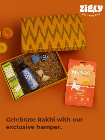 Celebrate special bonds with our exclusive Rakhi hamper, filled with treats and toys for your furry sibling.