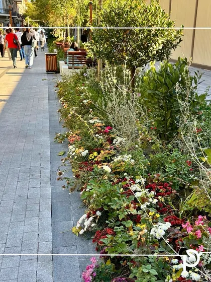 A rain garden designed along a public walkway. This sustainable feature uses a variety of flowering plants to absorb rainwater runoff, recharging groundwater while adding beauty to the urban landscape.