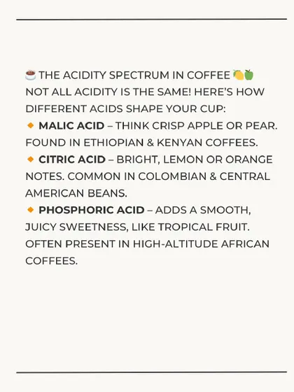 An infographic on the acidity spectrum in coffee, explaining the different tastes of malic, citric, and phosphoric acids.