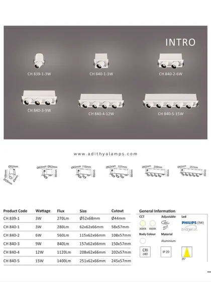 A duplicate of image 57, this is the catalog page for our 'Intro' series, showing the range of multi-light modules.