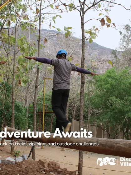 Find your balance and focus as you navigate the log walk on our adventure course. This activity challenges both your body and mind amidst the tranquil forest setting.