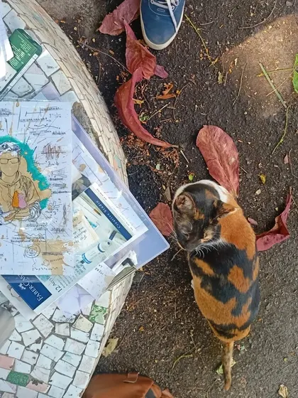 A cute moment during an outdoor drawing session. A friendly cat came to inspect the custom illustration I was working on.