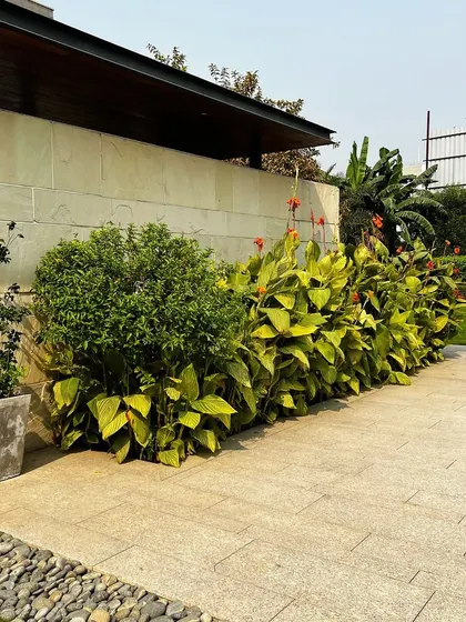 A corner detail showing the transition from the stone patio to the garden bed. Even small details, like the placement of a single potted plant, are considered in the overall design.