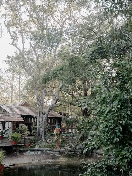 A wide view of the property, showing the Pond Pavilion and the lush trees, a perfect canvas for any style of wedding decor.