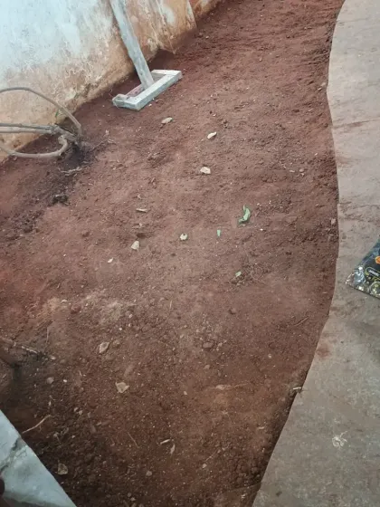 This image shows a cleared and ready dirt area before the base layer is added. I ensure all roots and rocks are removed.