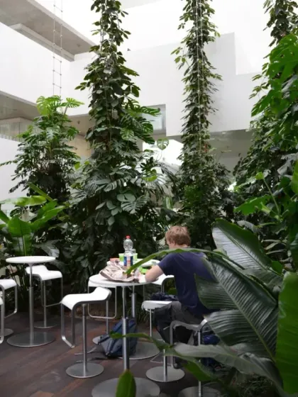 The central atrium of the Virchow 16 building on the Novartis Campus is a social hub immersed in nature. I design these spaces to encourage spontaneous interaction and provide a refreshing counterpoint to the focused work happening in the surrounding labs and offices.