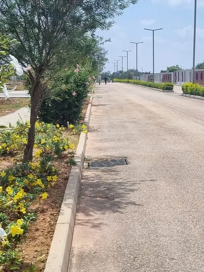 Flowering shrubs line a road at Aamby City. Even in large-scale infrastructure projects, we prioritize adding color and life through thoughtful planting.