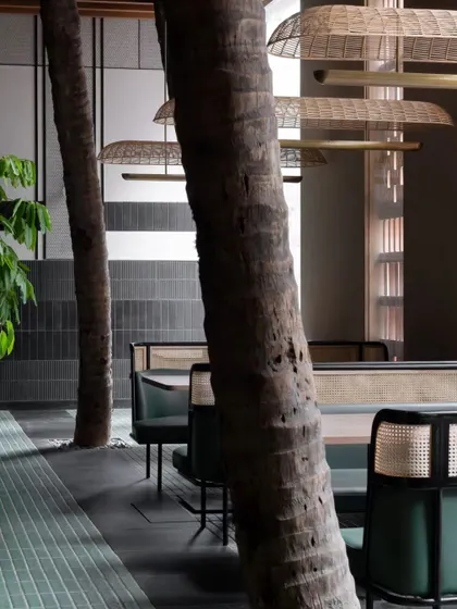 A close-up of the tree trunks integrated into the dining area. This detail shows how we worked with the site's natural features, building our design around them to create a truly unique indoor-outdoor atmosphere.