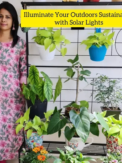 Illuminating your outdoor space sustainably is easy with solar lights. They are a key part of my garden essentials, creating a beautiful atmosphere while being kind to the environment. I love how they make my plant stands and arrangements look at night.
