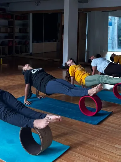 A group of students holds a reverse plank on yoga wheels, building serious core and upper body strength.