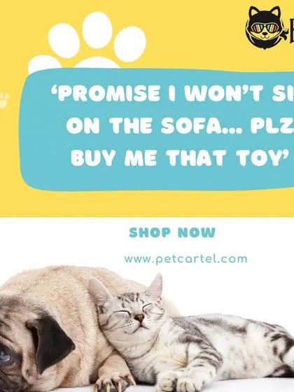 Your pets know how to ask for what they want! Spoil them with a new toy or their favorite snack by taking advantage of our discount codes for orders of all sizes.
