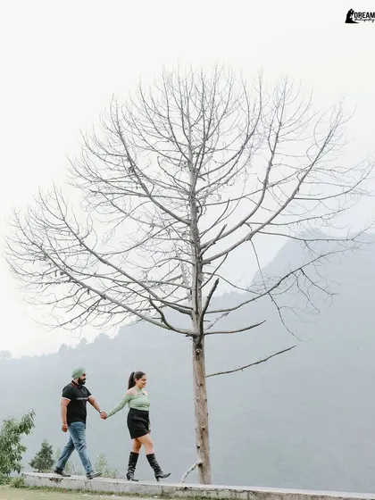 A simple, elegant shot of the couple walking hand-in-hand beside a bare tree, with the mountains creating a beautiful, minimalist backdrop.