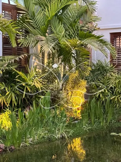 A water garden at sunset, with landscape lighting illuminating the aquatic plants and palm fronds, creating a magical evening atmosphere.