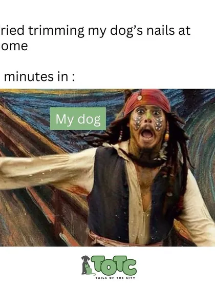 We've all been there! This relatable meme captures the chaos of trying to trim your dog's nails at home. Sometimes it's best to leave it to the pros.