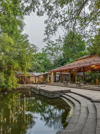 The stone steps of the kalyani lead down to the water's edge, offering a unique setting for ceremonies or a quiet moment of reflection.