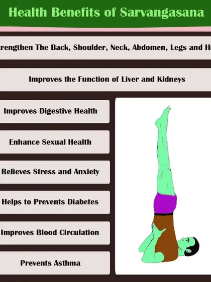 This graphic details the many health benefits of Sarvangasana, from improving digestive health to relieving stress and enhancing sexual health.