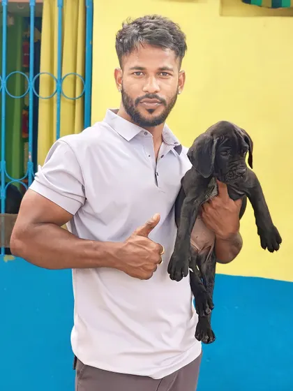 Me giving a thumbs up with a Cane Corso puppy. I am confident in the quality of all the breeds I offer.
