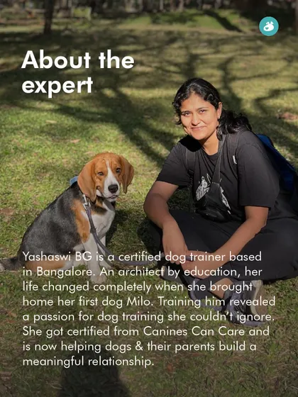 Meet Yashaswi, another of our certified dog trainers. An architect by education, she found her passion in dog training and now helps parents build meaningful relationships with their pets.
