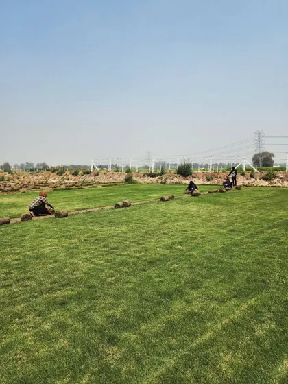 A wide shot of our turf farm, where our team is harvesting grass. We can supply turf for any project, from small gardens to large sports fields.