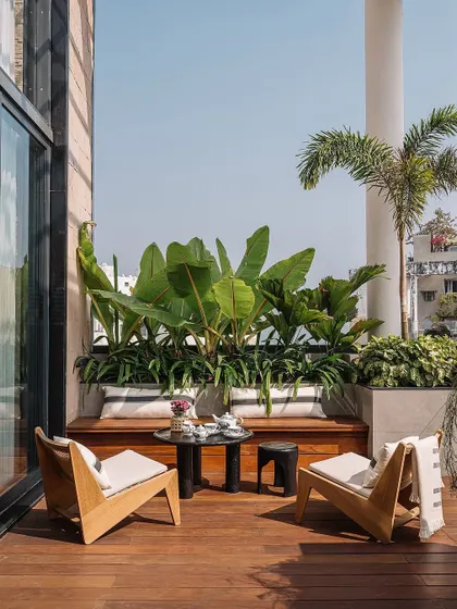 We love how our plants look in this gorgeous Kolkata bungalow. The built-in planter bench with large-leafed plants creates a beautiful, functional, and relaxing outdoor seating area.