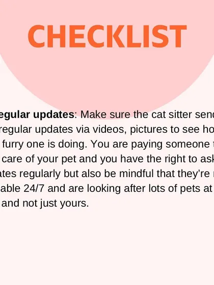 A good sitter should send you regular updates with photos and videos. I love sending these to my clients so they can see their fur baby is happy and relaxed.