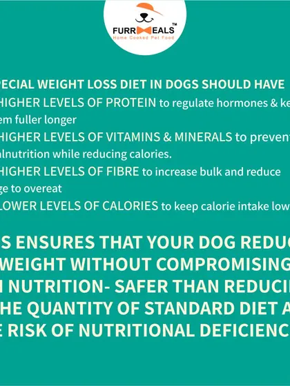 This collection of infographics and product shots provides a comprehensive guide to understanding, preventing, and managing dog obesity with my specialized diet plans and responsible treating tips.