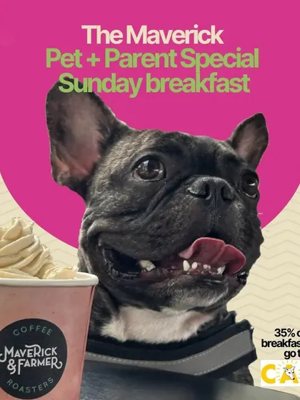 Announcing the Maverick Pet + Parent Special Sunday Breakfast! This event celebrates the launch of their Pup Cup, with 35% of all sales going to support the animals at CARE.
