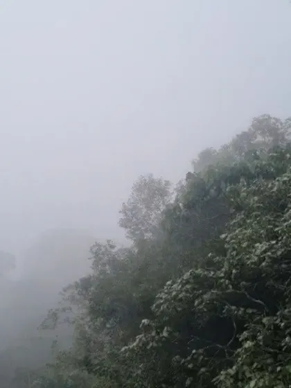 A shot of the dense fog that often covers the hills of Wayanad, creating a mysterious and beautiful atmosphere.